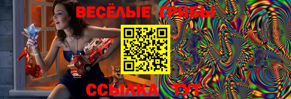 Псилоцибиновые грибы прущие грибы  Вход с VPN  Галлюциногенные грибы Magic Shrooms  Сатка 