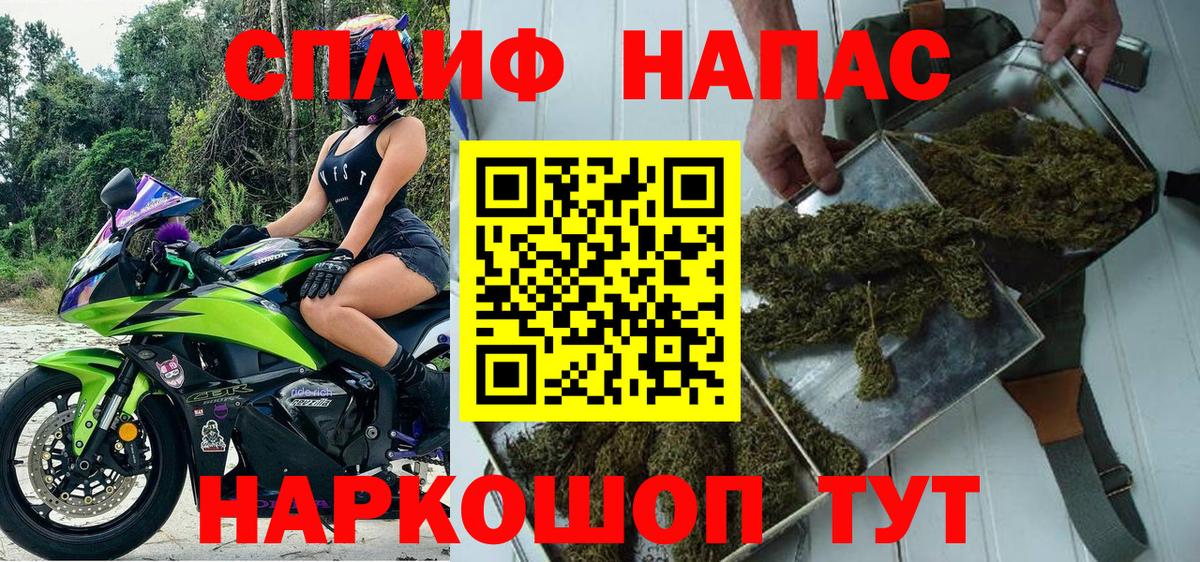 Конопля ГИДРОПОН Сатка